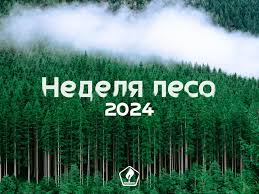 НЕДЕЛЯ ЛЕСА-2024